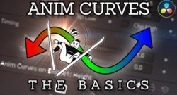New Anim Curves Modifier in DaVinci Resolve 17 | Easily Create Animations for Different Frame Rates