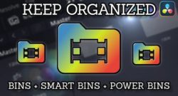DaVinci Resolve Bins + Smart Bins + Power Bins Basics | Keep your Media Organized