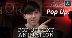 How to Create a Pop Up Text Animation in DaVinci Resolve 17 Using Anim Curves Modifier