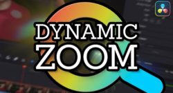 How to Use Dynamic Zoom